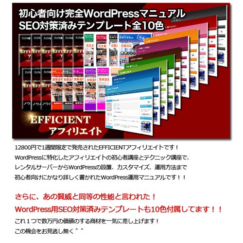 EFFICIENTアフィリエイト
